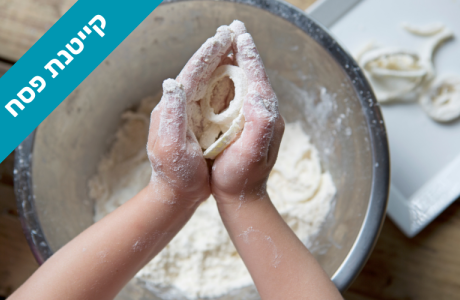 קייטנת פסח 2026 